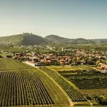住宿加早餐酒店 Gaestehaus Benediktinerstift Goettweig - Monastery