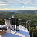 住宿加早餐酒店 Gaestehaus Benediktinerstift Goettweig - Monastery