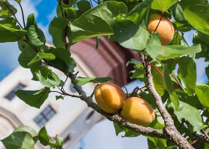 Gaestehaus Benediktinerstift Goettweig - Monastery ベッド・アンド・ブレックファスト *